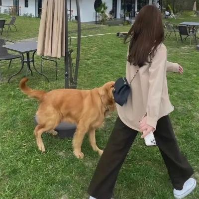 爱情骇客